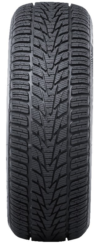 NANKANG / 255/45 R20 (105 V) <b>WINTER ACTIVA SV-4 </b> XL / Invernale