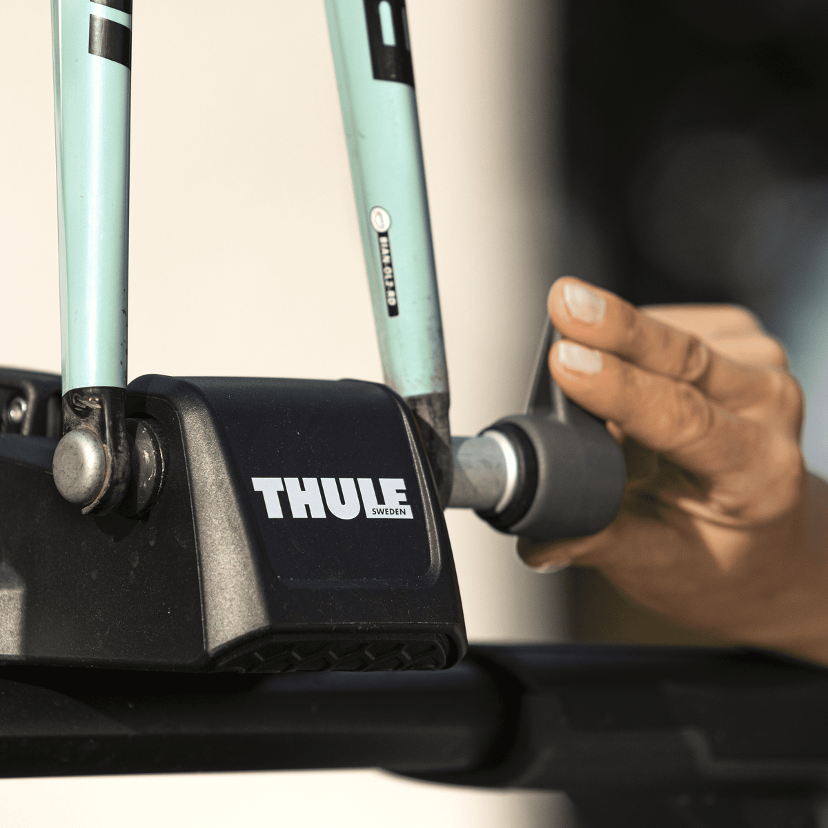 THULE / PORTABICI DA TETTO FASTRIDE / PORTA BICICLETTE
